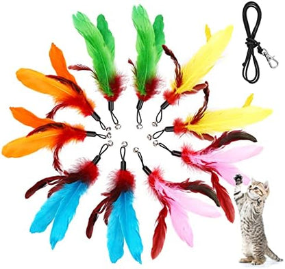 11PCS Cat Wand Attachments, 10 Cat Feather Toy Refills and 1 Spare String