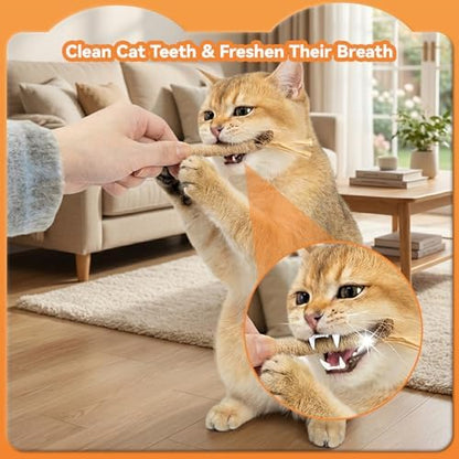 6Pcs Silvervine Sticks for Cats with Catnip Bag, Cat Chew Toys for Teeth Cleaning and Anxiety Relief, Natural Dental Care Kit for Indoor Cats & Kittens