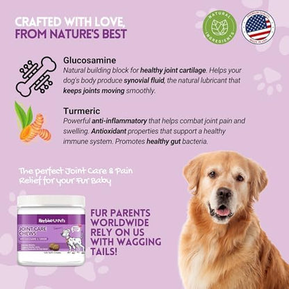 HERBION Pets Joint Care Chews with Glucosamine & Turmeric, 120 Soft Chews, MSM & Chondroitin for Pain Relief, Improves Mobility, Supports Healthy Joints, Made in USA, for Dogs 12 Weeks+, Pack of 1