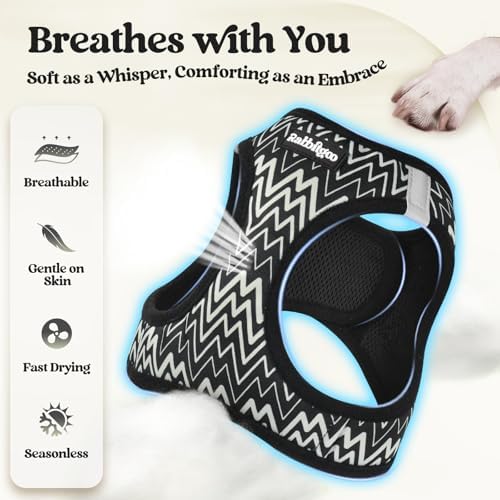 rabbitgoo Dog Harness Medium Sized and Leash Set, Step-in Puppy Pet Vest