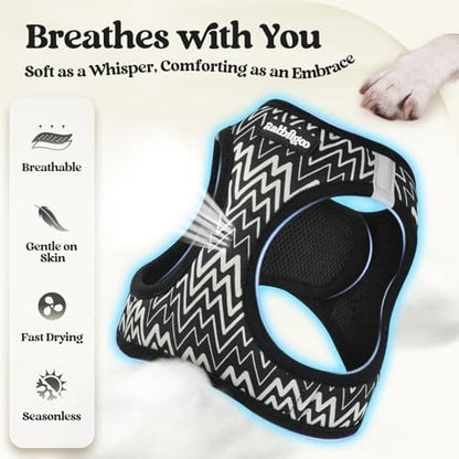 rabbitgoo Dog Harness Small Sized and Leash Set, Step-in Puppy Pet Vest