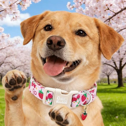 Dog Collars, Spring Red Strawberry Print Pet Collar Holiday Cute Durable Adjustable Pendant Gift Collar with Quick Release Plastic Buckle for Medium Dogs
