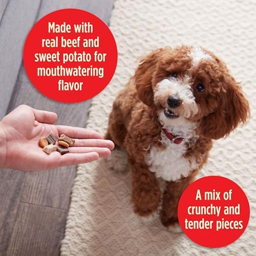 Milk-Bone Trail Mix Chewy & Crunchy Dog Treats, Real Beef & Sweet Potato, 20 Ounce (Pack of 2)