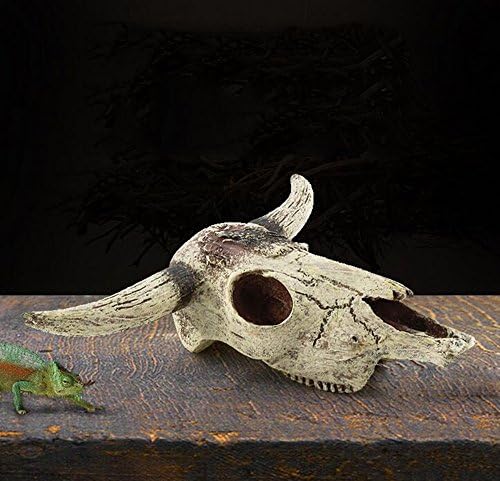 Leoyoubei Aquarium Decoration, Fish Tank Small Skull,Fish Turtle Hidden, Bonsai beautification. Cave Landscape Pet Reptile House Shrimps & Snails Love Them (Cattle Skull)