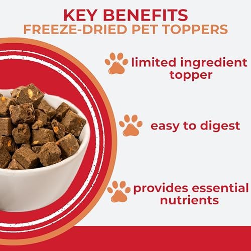 Momentum Carnivore Nutrition Freeze-Dried Antioxidant Boost Pet Food Topper – Single-Ingredient Raw Supplement – Supports Immune Health & Reduces Oxidative Stress – 3 oz Bag