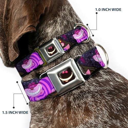 Buckle-Down Seatbelt Buckle Dog Collar - Cheshire Cat Tree Poses - 1" Wide - Fits 11-17" Neck - Medium
