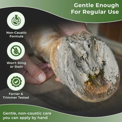 Pure Sole Hoof Clay for Horses Hoof Mud | for Horses with Thrush-Prone Hooves, Deep Sulcus Cracks & White Line Issues | Thick Creamy Hoof Clay for Wet, Muddy Conditions, 32 oz