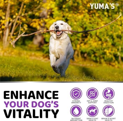 (2 Pack) Dog Multivitamin Chewable - 340 Ct - Dog Vitamins and Supplements