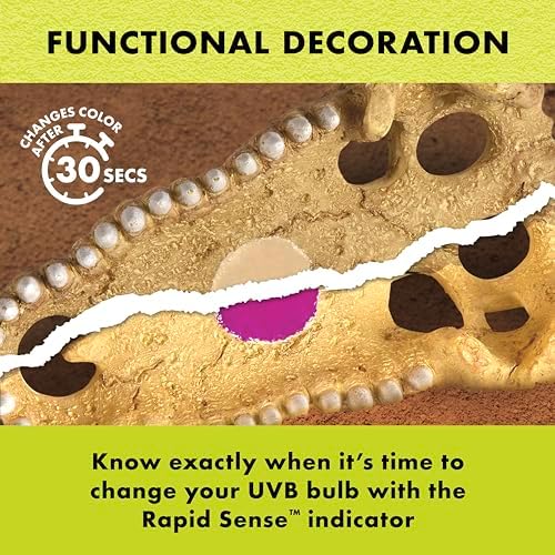 Zilla Rapid Sense UV Detecting Terrarium Decor, Crocodile Skull, Medium