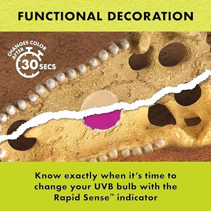 Zilla Rapid Sense UV Detecting Terrarium Decor, Crocodile Skull, Medium