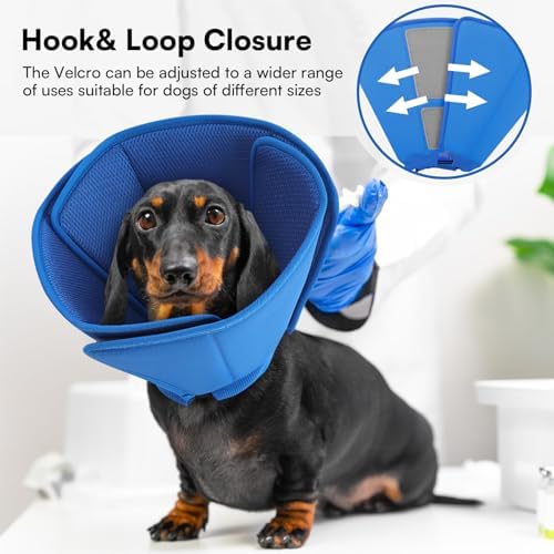Queenmore Dog Cone Soft Cone for Dogs to Stop Licking After Surgery