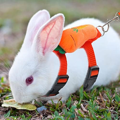 Tondiamo 4 Pcs Adjustable Bunny Harness and Leash Set for Small Pet,Fruit
