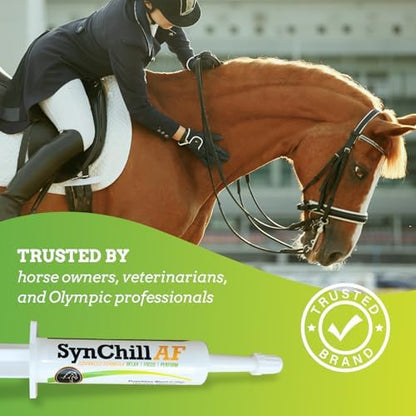 SynChill AF Horse Calming Supplement Gel, 12 Pack