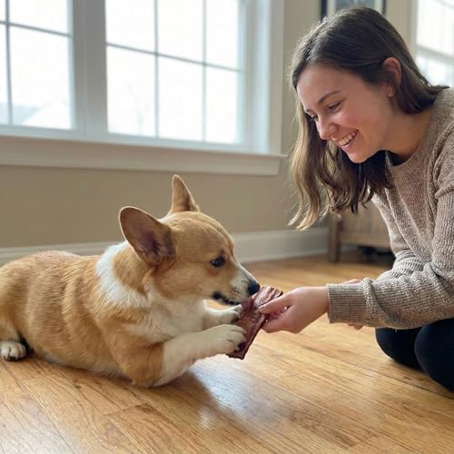 Fieldcrest Farms Nothin to Hide Flip Chips Dog Chews - Natural Rawhide Alternative Treats for Dogs, Collagen Based Snack for Moderate Chewers Up to 35lbs, Beef Bully Flavor -1 Pack (8 Chips)