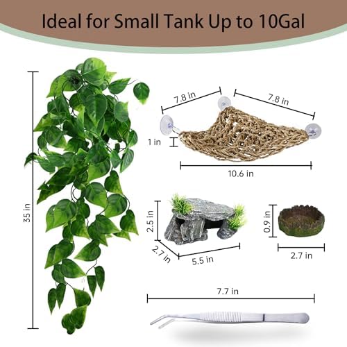 5-in-1 Leopard Gecko Tank Starter Kit, Hide Cave, Seagrass Hammock, Climbing Vine, Tweezers & Dish - 10-20 Gal | Fits Leopard/Crested Geckos, Harmit Crabs, Juvenile Tortoises (Tank Not Included)