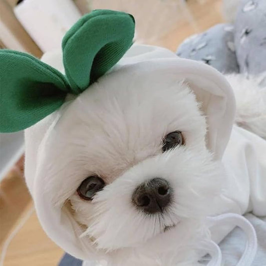 Pet Clothing Dog Transformation Frog Hoodie Autumn and Winter Warm Small Large Dog Method Dou Cat Bullfighting Clothes (White Radish,XS)