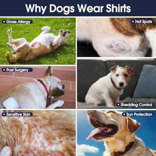 IECOii 2 Pack Dog Surgery Recovery Shirt Sleeveless Lightweight Dog Tshirt
