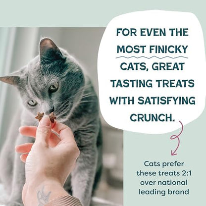 Shameless Pets Crunchy Cat Treats - Cran You Say Chicken, 1-Pk