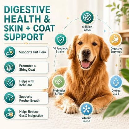 ZEBORA Probiotics for Dogs, Gut & Digestive Health, 120 Freeze-Dried Chews