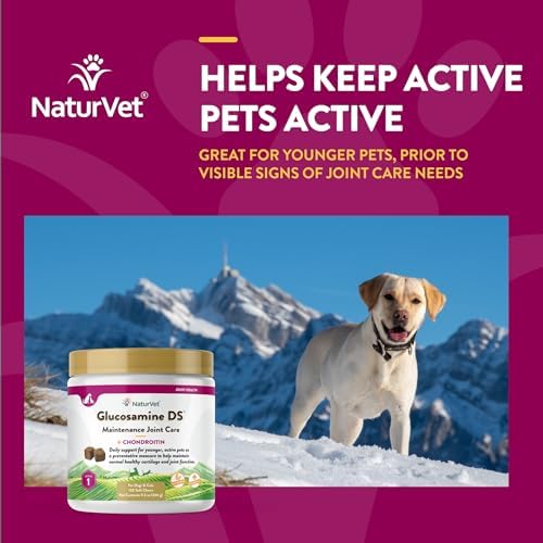 NaturVet Maintenance Joint Care with Chondroitin, Dogs & Cats, 120ct
