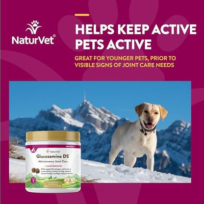 NaturVet Maintenance Joint Care with Chondroitin, Dogs & Cats, 120ct