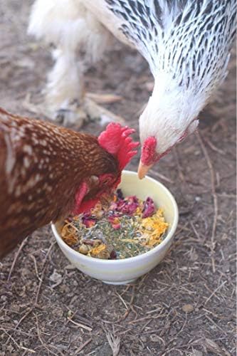 Pampered Chicken Mama Premium Nesting Herbs for Chickens (20 oz) Made with Flowers & Botanicals | Chicken Nesting Herbs | Nesting Herbs for Chicken Coop Herbs