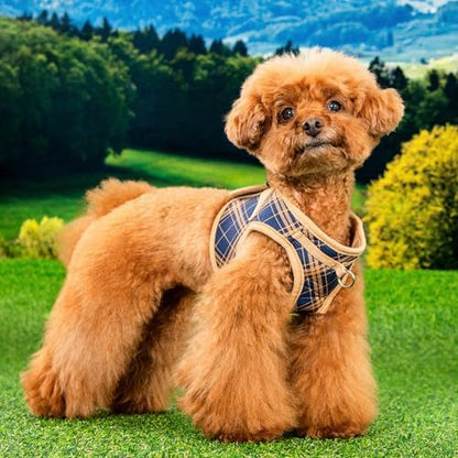 Puppia Corwin Dog Vest Harness B (Step-in) Fashionable Checkered Pattern Spring Summer Harness for Small and Medium Dogs, Navy, X-Large