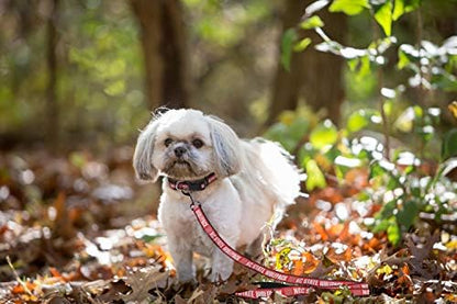 Pets First Collegiate Pet Accessories, Dog Leash, North Carolina State Wolfpack, Large