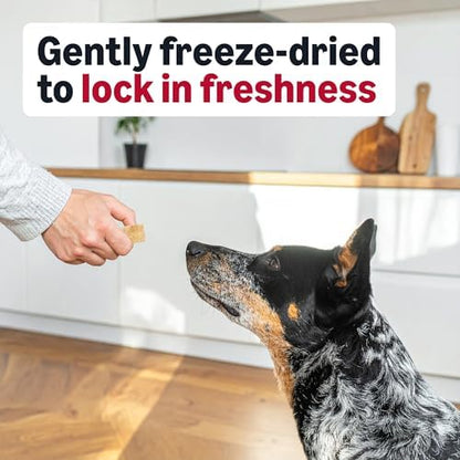 Amazon Basics Freeze-Dried Raw Single Ingredient Dog Treats (Previously Wag), Beef Liver, High Protein, Grain-Free, 3.3 Ounce, Packaging May Vary (Pack of 2)