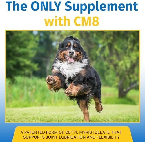 Hip & Joint Supplement for Dogs & Cats with Cetyl Myristoleate, Glucosamine, Collagen, MSM - Advanced Joint Support for Mobility, Senior Pets, Small & Large Breeds - 180 Tablets (Pork Liver)