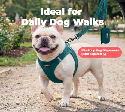 Best Pet Supplies Voyager Nylon Dog Leash - Blue, Medium