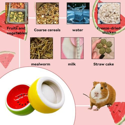 Hamiledyi Hamster Bowl 2 Pack Ceramic Gerbil Food Dish Feeding Bowls for Dwarf Syrian Hamsters Mice Rat Sugar Glider