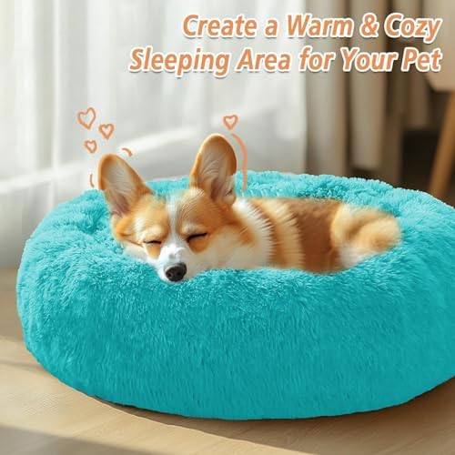 JOLLYVOGUE Calming Small Dog & Cat Bed for Indoor Cats - 20 inches Washable Donut Bed for Kittens & Puppies, Anti-Anxiety Round Fluffy Plush Pet Beds (Fits up to 15 lbs, Aqua Blue)