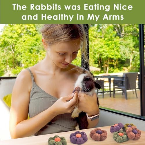 ERKOON Rabbit Chew Toys, 10PCS 1.77“ Timothy Grass Treats Small Animal Molar Toys for Guinea Pig Hamster Bunny Chinchilla Gerbil, Handmade Rabbit Chews and Treats