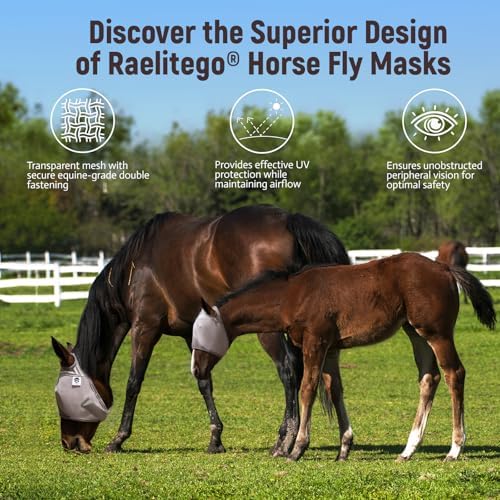 Raelitego Horse Fly Mask Without Ears, Breathable Mesh UV Protection (S)