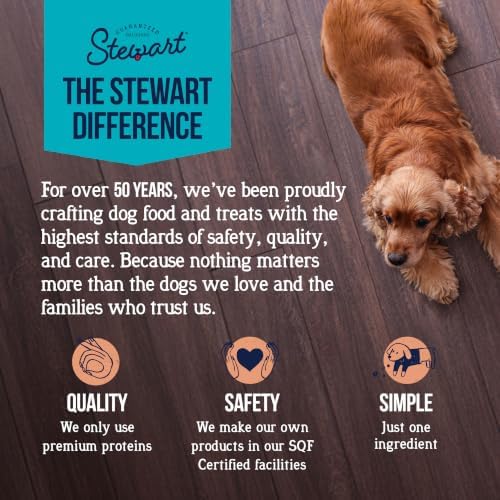 Stewart Freeze Dried Dog Treats, 100% Wild Salmon, 9.5 oz Tub