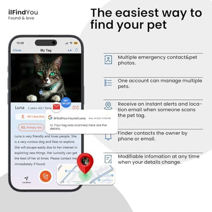 QR Code Cat Tags Personalized Small, Real-time Alerts, BLORGR