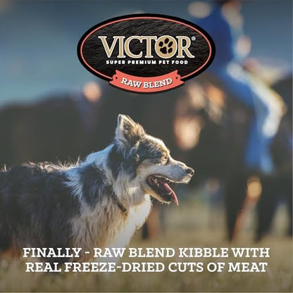 VICTOR Raw Kibble Blend - Farm Chicken Freeze-Dried Dry Dog Food, 20 lb