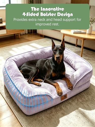 Spotted Play Orthopedic Dog Bed with Sides - Sofa Beds for Extra Large Dogs, Supportive Foam Pet Couch Bed with Washable Removable Cover, Waterproof Lining and Non-Slip Bottom, Purple - XL-Plus
