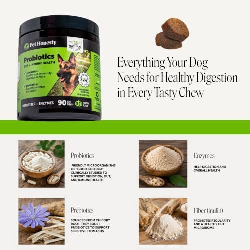 Pet Honesty Dog Probiotics Chews for Gut & Digestive Health, 180ct, Pumpkin