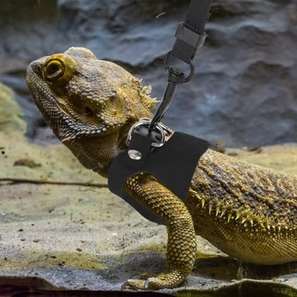 Bearded Dragon Leash and Harness Set