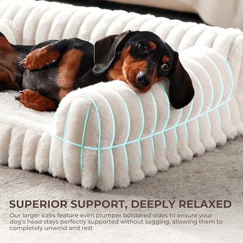 Orthopedic Dog Bed Small 24x18x8” Washable Cover Cream