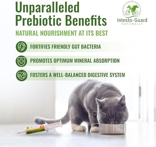 Probiotics Paste for Dogs Prebiotic for Canine, Gut Support, & Immune Boost, All Natural with 1 Billion per ML Includes (MOS)+ Beta Glucans + D-Mannose, No Animal by-Products - 60ML Single Tube