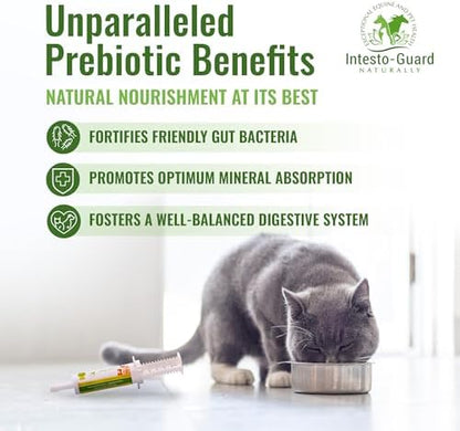 Probiotics Paste for Dogs Prebiotic for Canine, Gut Support, & Immune Boost, All Natural with 1 Billion per ML Includes (MOS)+ Beta Glucans + D-Mannose, No Animal by-Products - 60ML Single Tube