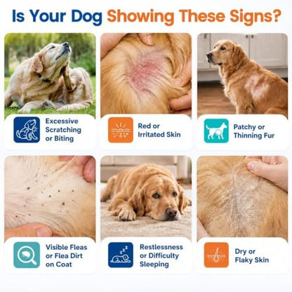 Carmelie Flea and Tick Prevention for Dogs, Flea & Tick + Itch Relief Chews