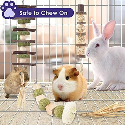Bissap 3PCS Bunny Chew Toys, Natural Hanging Molar Treats for Small Pets