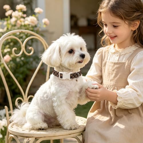 DOGWONG Brown Checked Dog Collar, Autumn Plaid Dog Collar,Western Grid Dogs Collars for Small Medium Dogs, Neck 11-16 inches