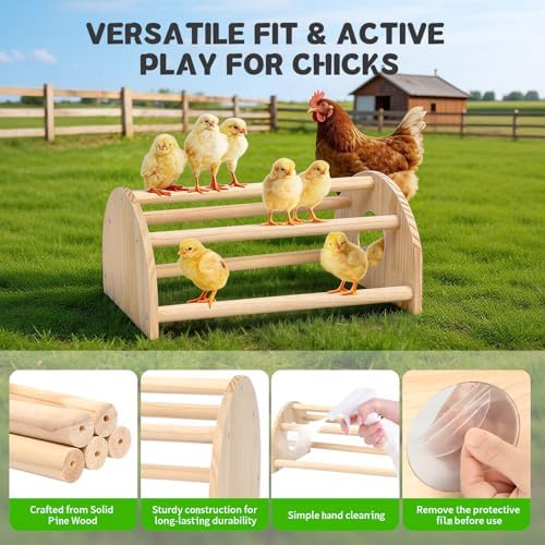 Pine Chicks Perch with Mirror, Strong Chick Jungle Gym Roosting Bar, Chicken Perch Toys for Coop and Brooder, Training Perch Toys for Large Bird, Parrot, Macaw, Hens (Large)