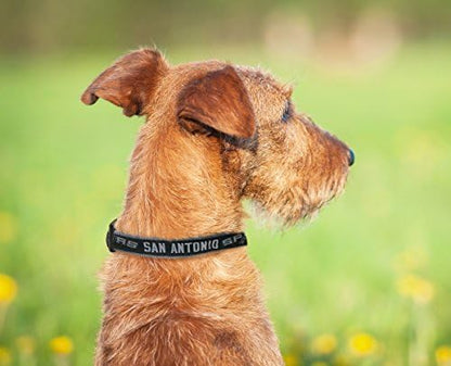 Pets First NBA SAN Antonio Spurs Dog Collar, Size Medium. Best Pet Collar for All Sports Fans