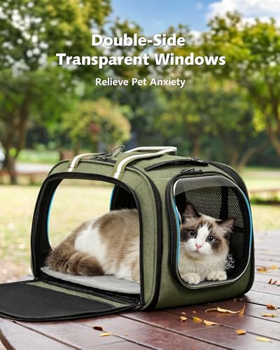Pecute Cat Carrier,Double Bubble Pet Carrier for Cat Small Dogs,Green,L